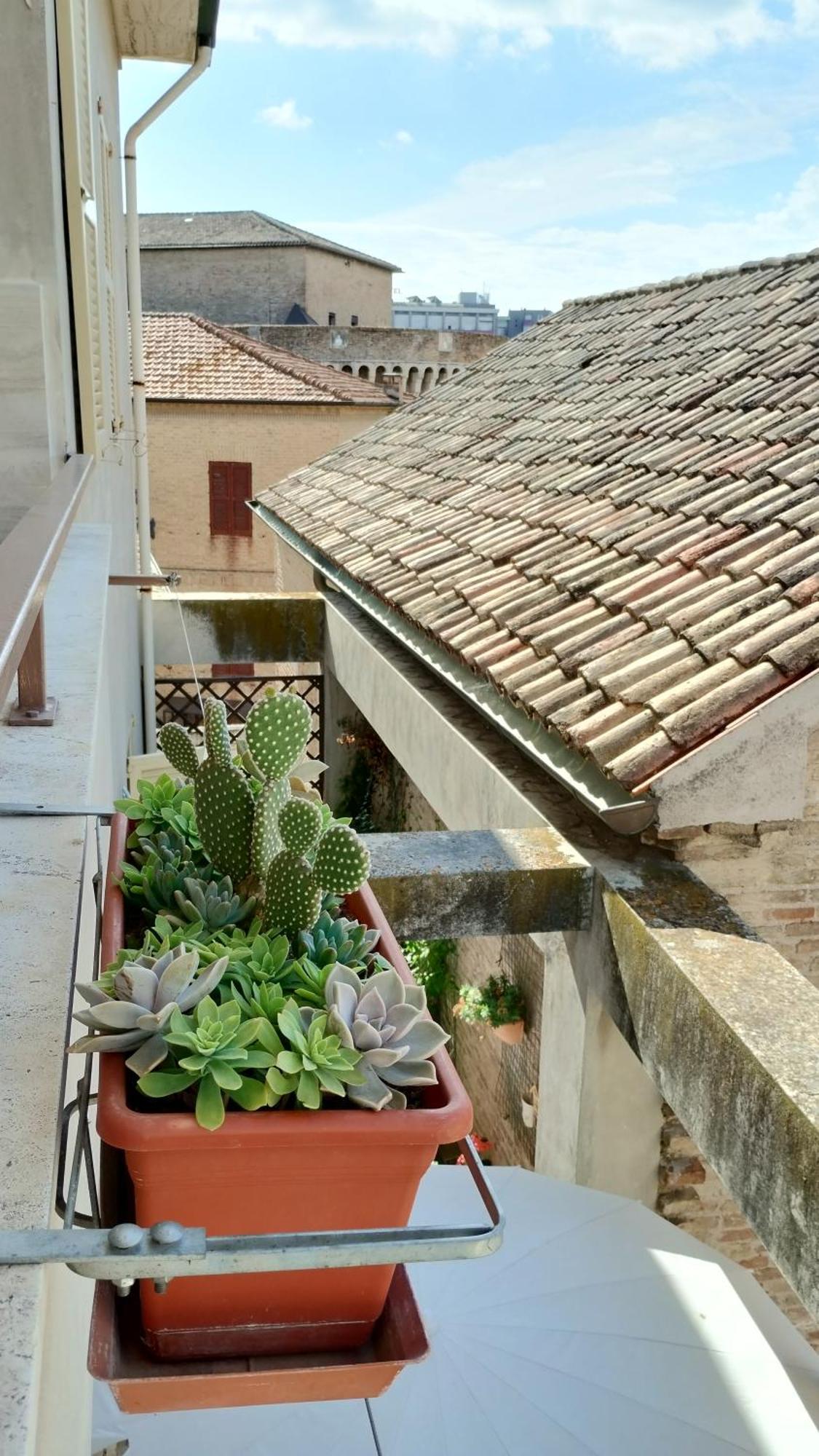 Palazzo Cavalletti - Appartamenti Nel Cuore Di Senigallia Exterior foto